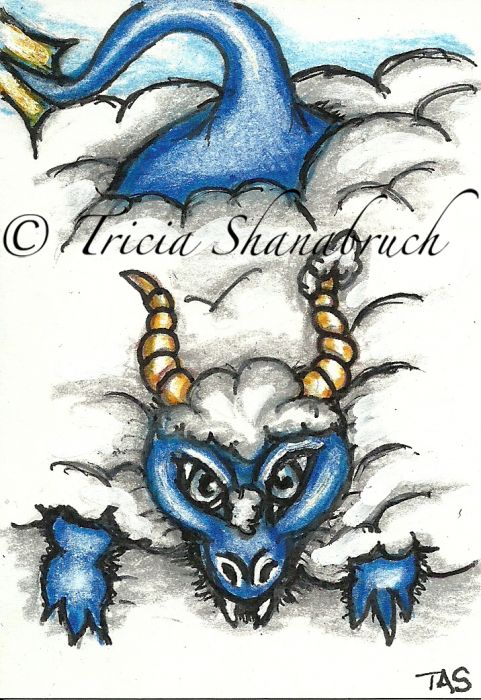 Snow Dragon by Tricia Shanabruch